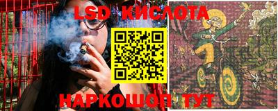 прущие грибы Новодвинск