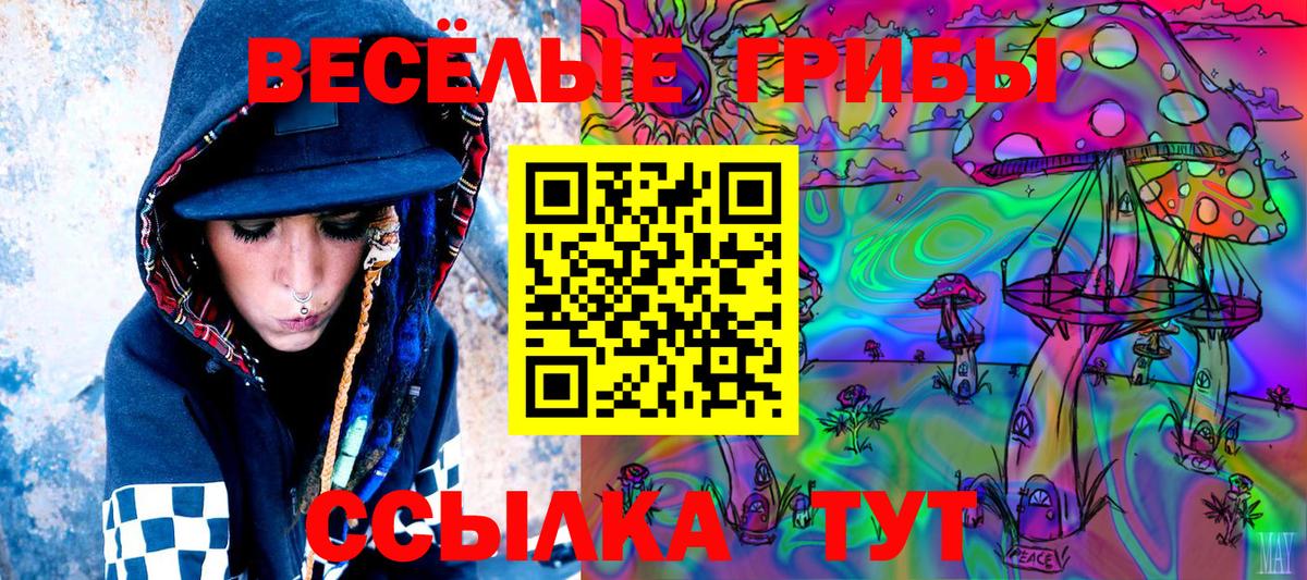 Семёнов  Псилоцибиновые грибы Psilocybine cubensis  Вход с VPN 